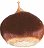 chestnut
