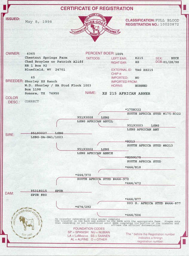 pedigree