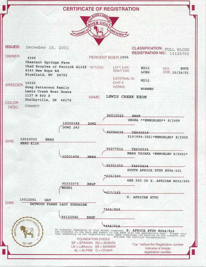 pedigree