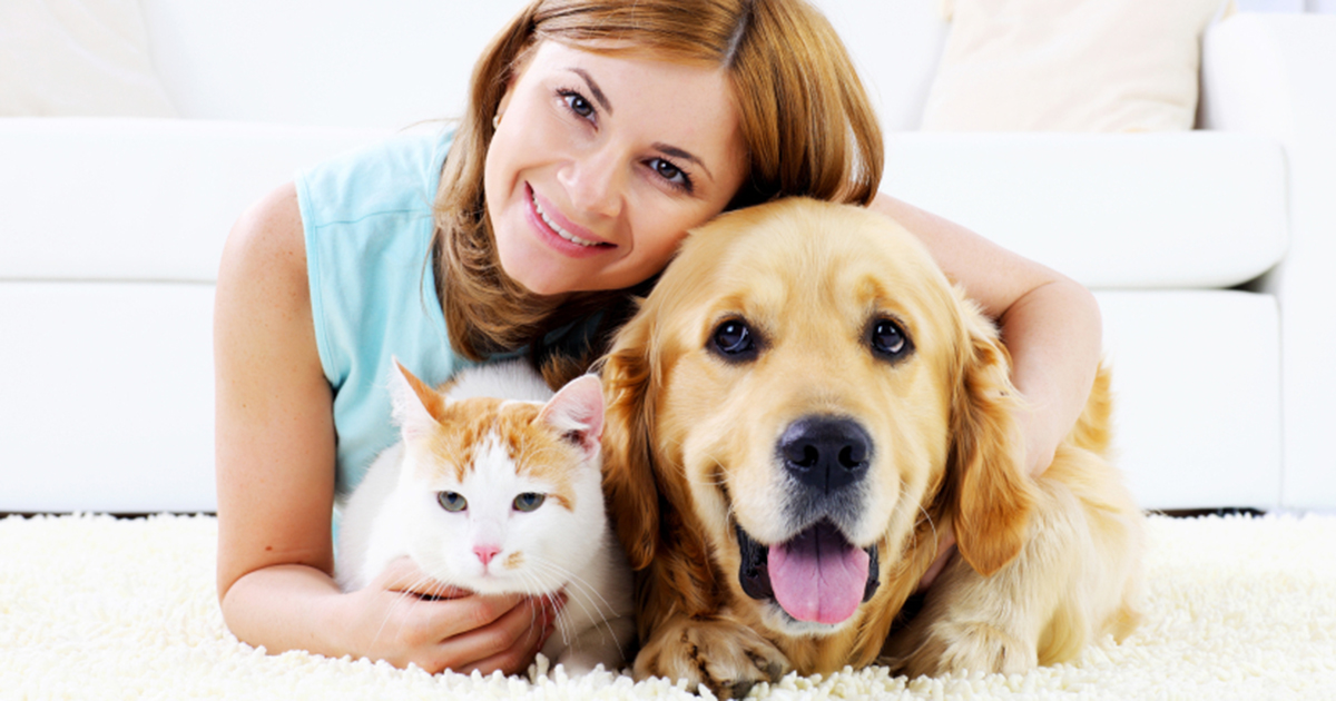 animal care