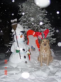 Snow Fun