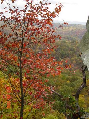 Pinnacle Rock
