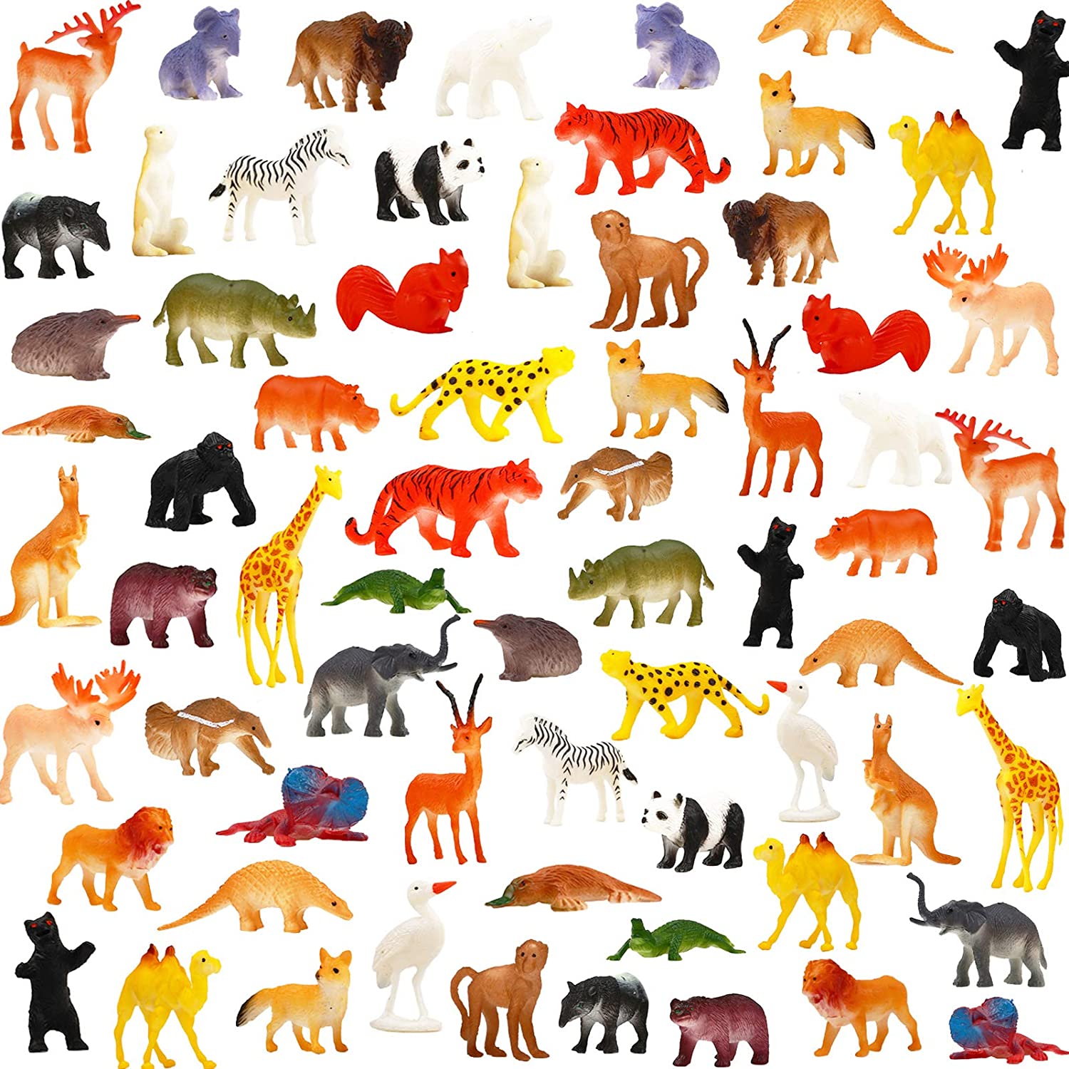 animals
