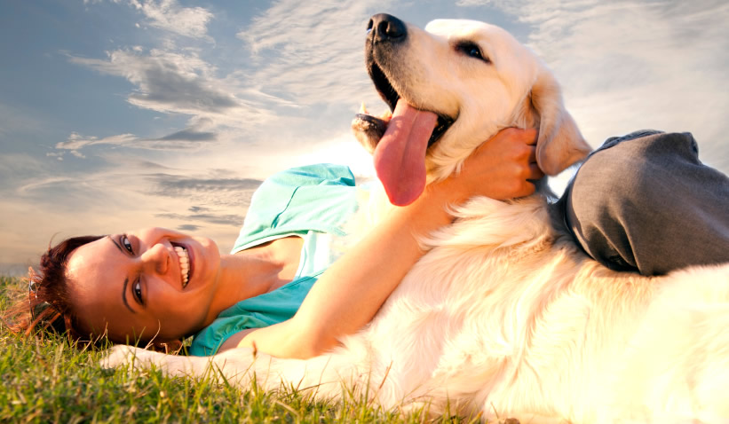 animal care